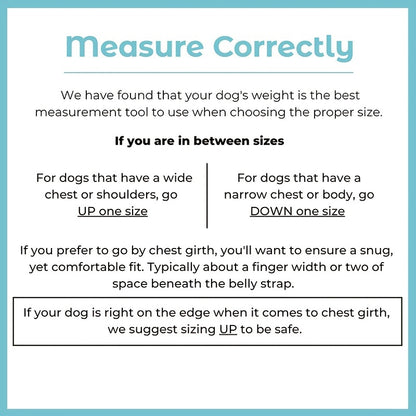 [No-Pull Breathable Dog Harness] Reflective No-Pull Dog Harness with Breathable Design and Handle